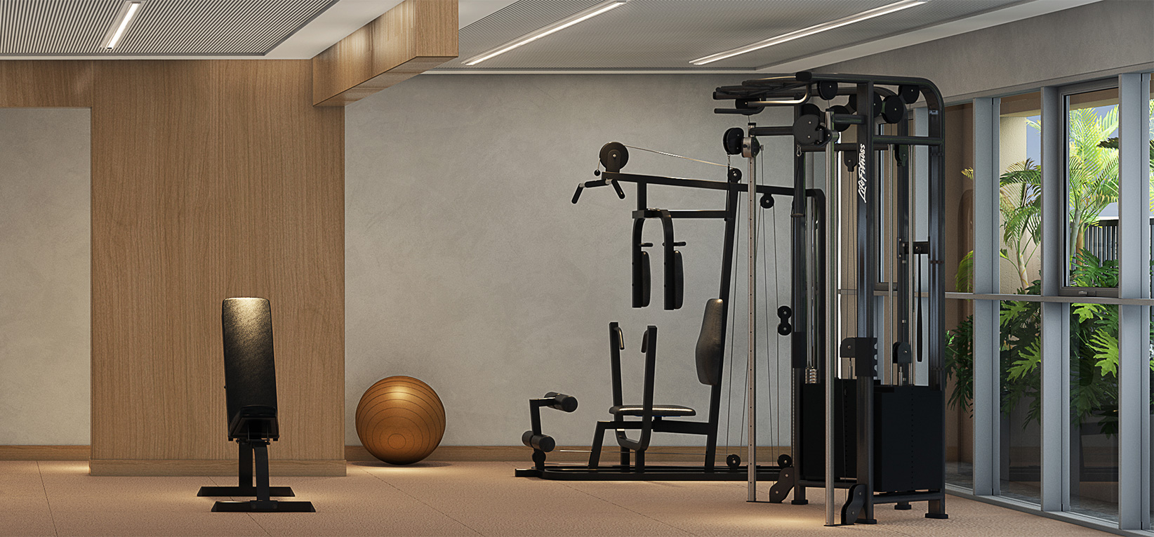 Perspectiva Ilustrada do Fitness